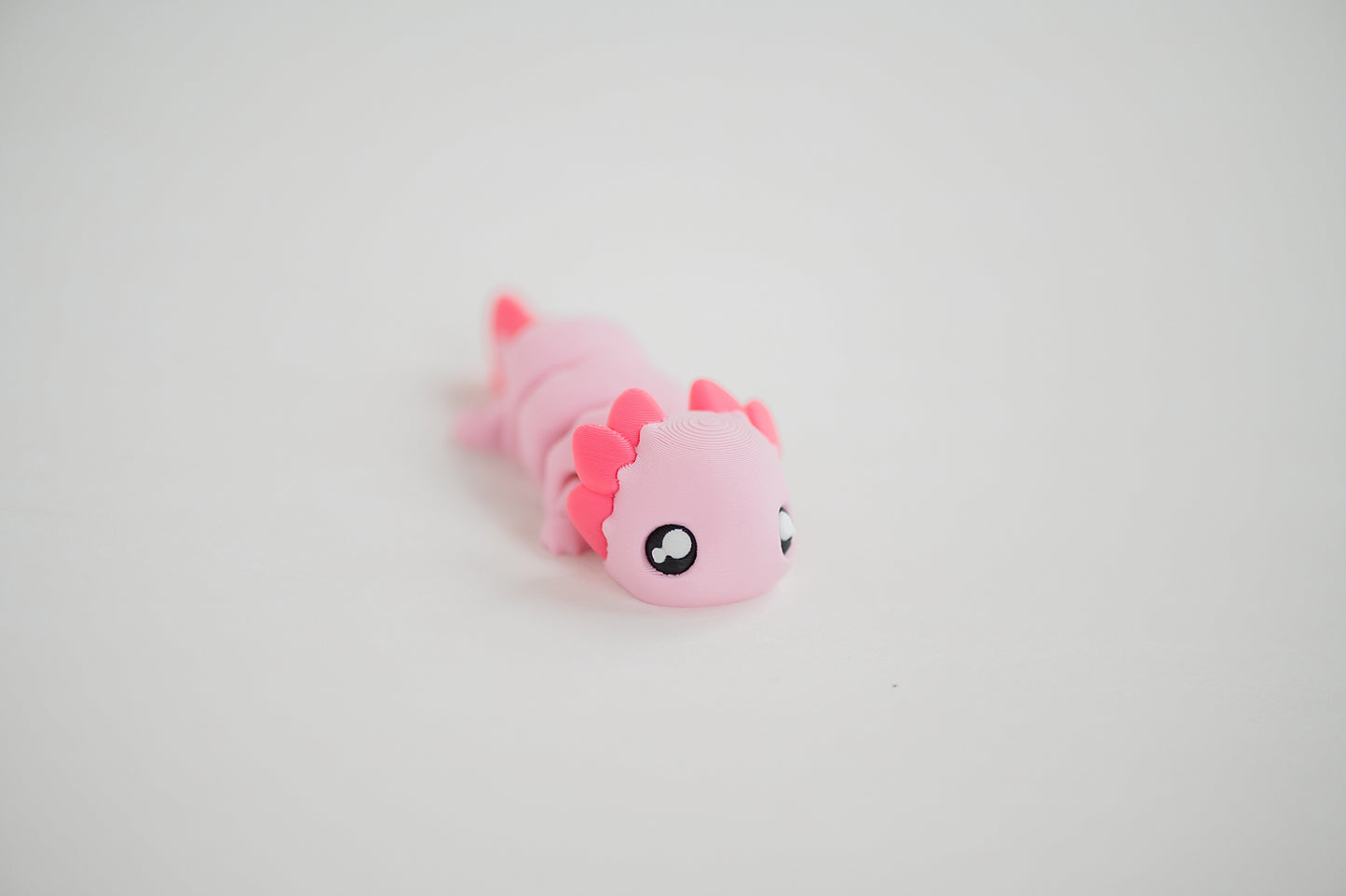 Axolotl Fidget Toy