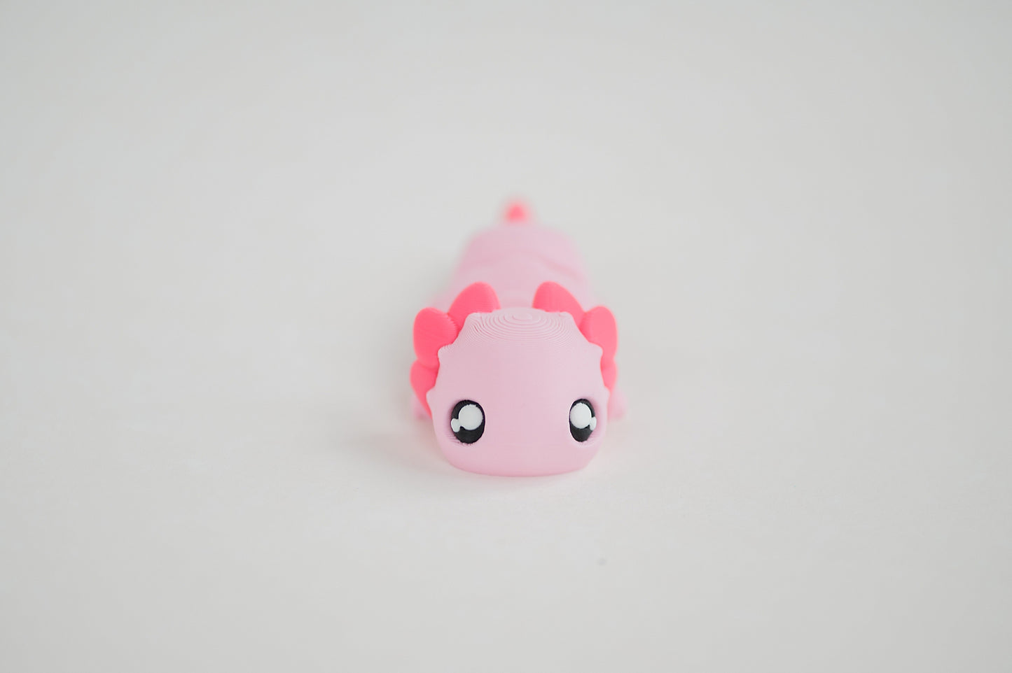 Axolotl Fidget Toy