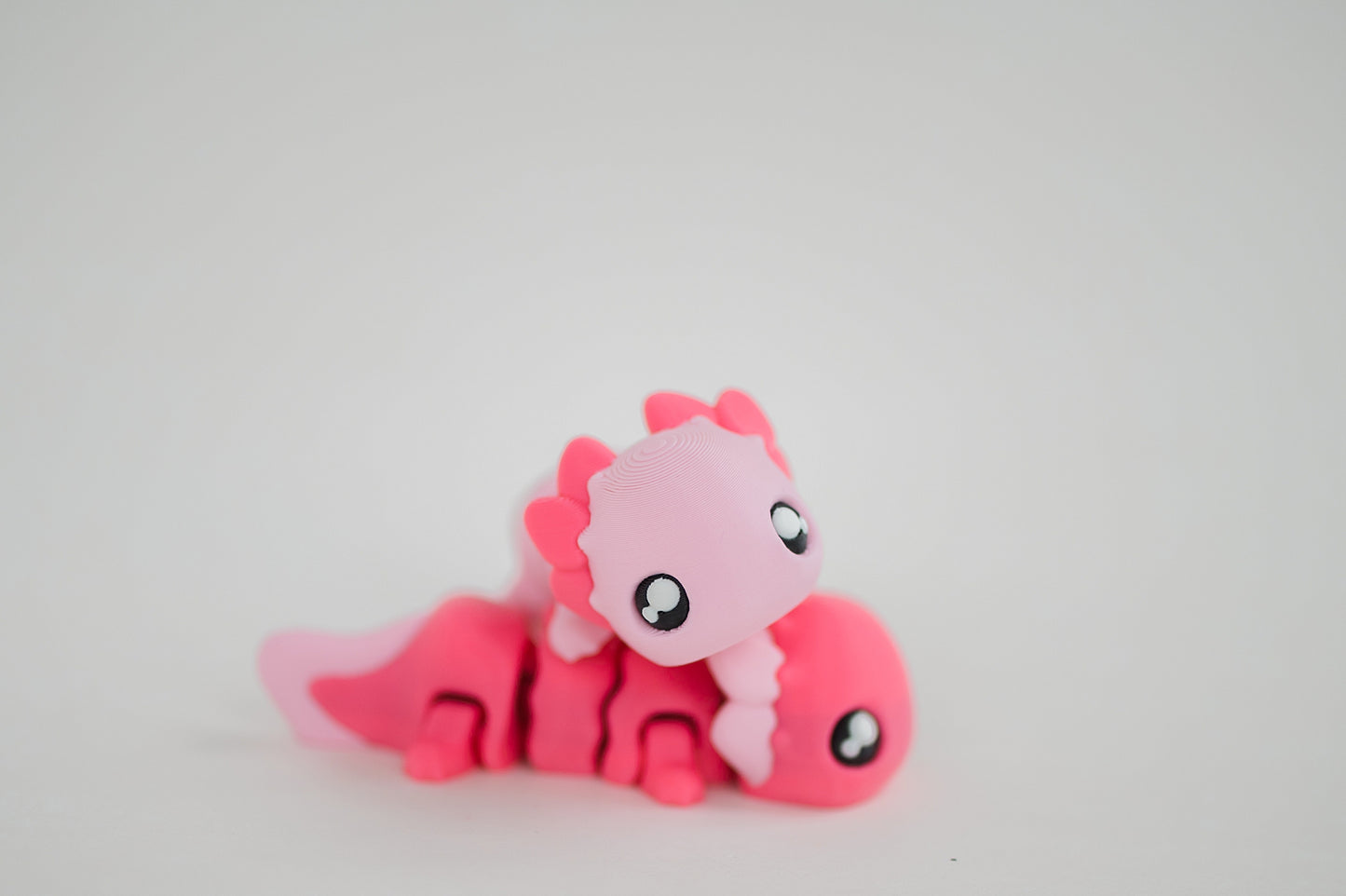 Axolotl Fidget Toy