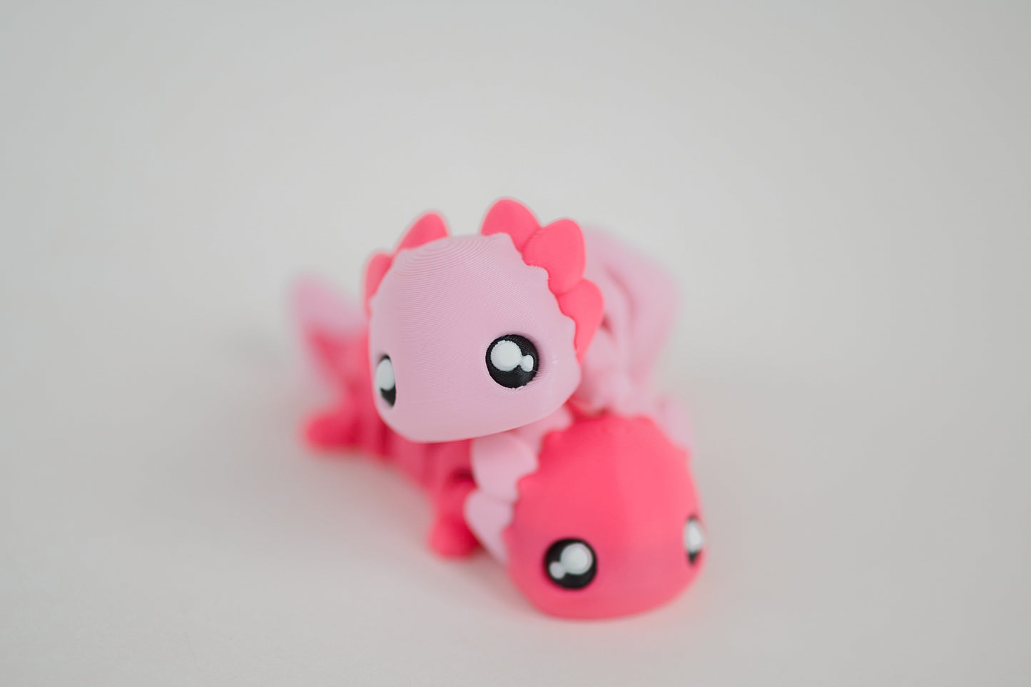 Axolotl Fidget Toy