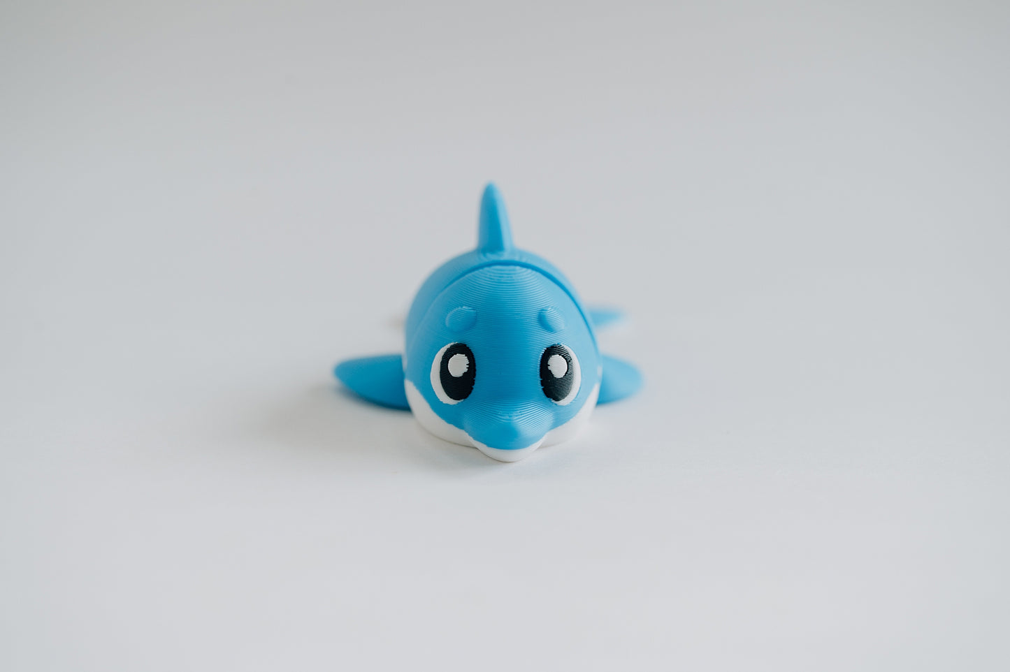 Dolphin Fidget Toy
