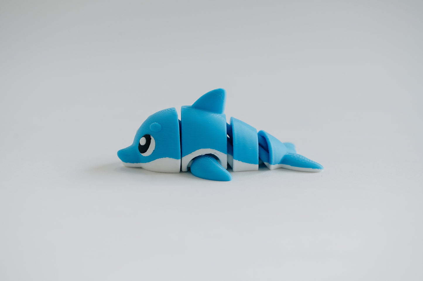 Dolphin Fidget Toy