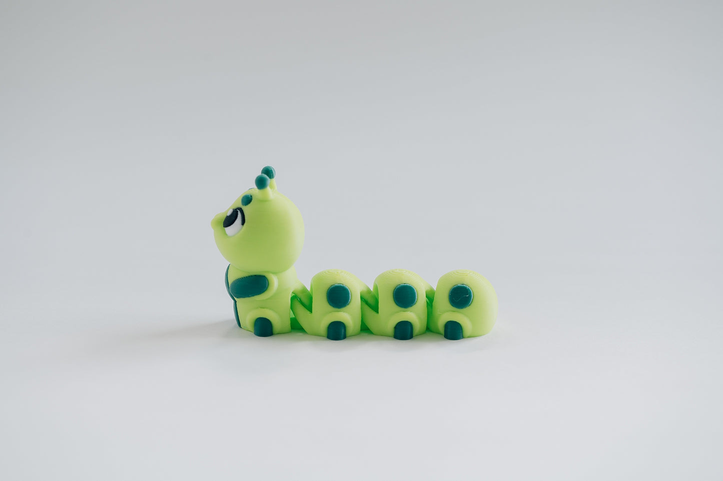 Caterpillar Fidget Toy