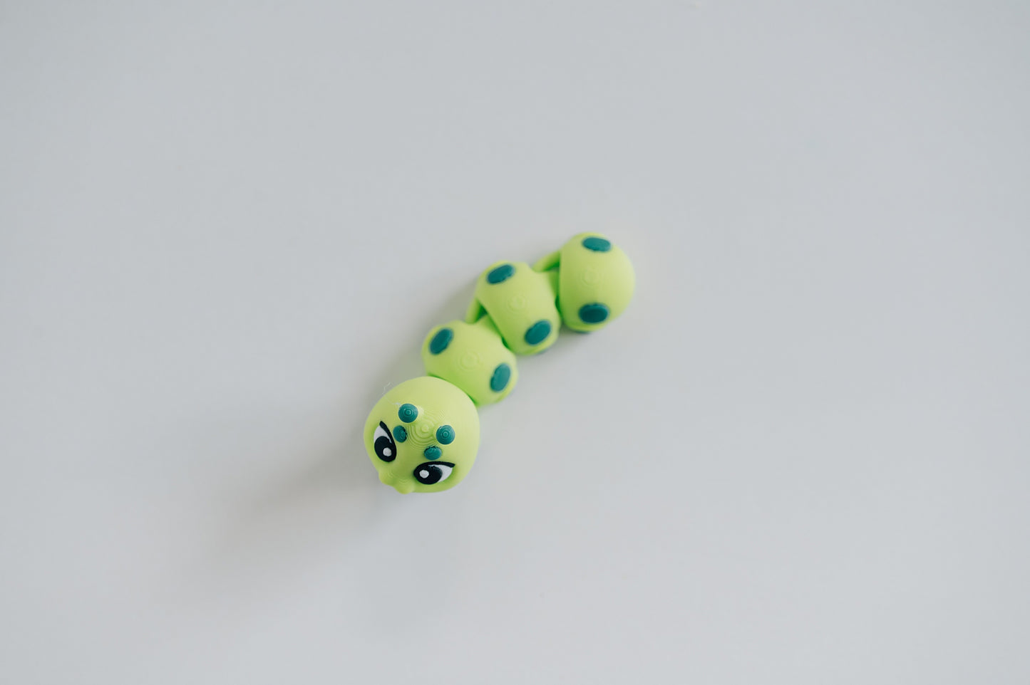 Caterpillar Fidget Toy