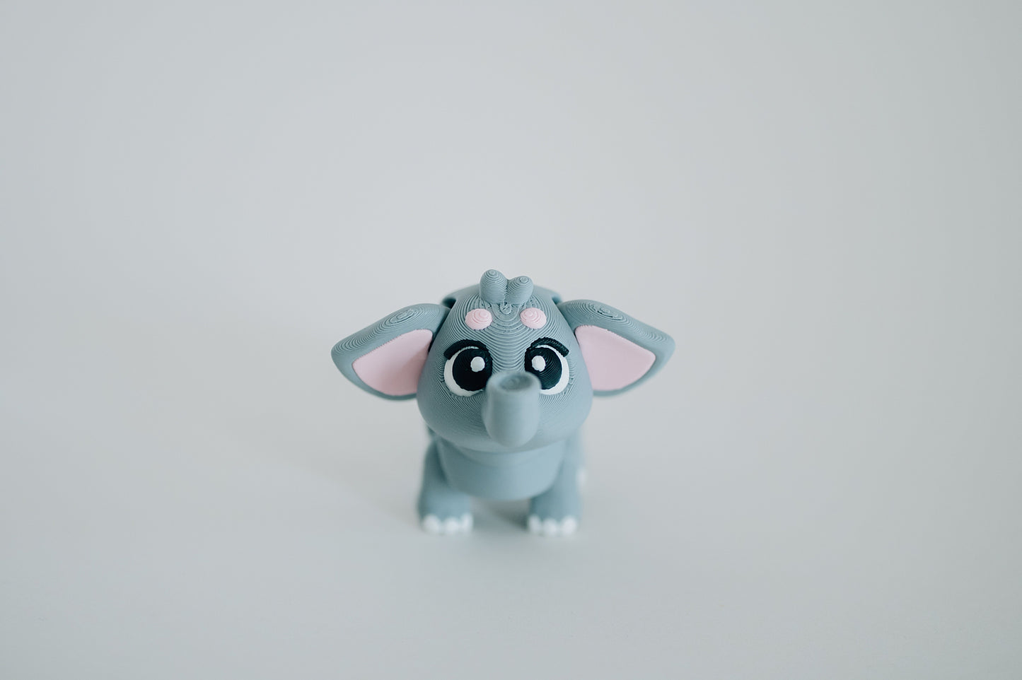 Elephant Fidget Toy