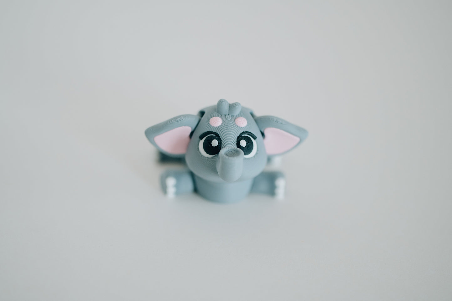 Elephant Fidget Toy