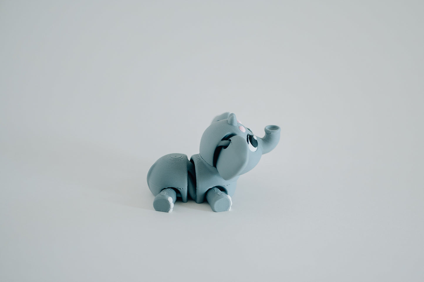Elephant Fidget Toy