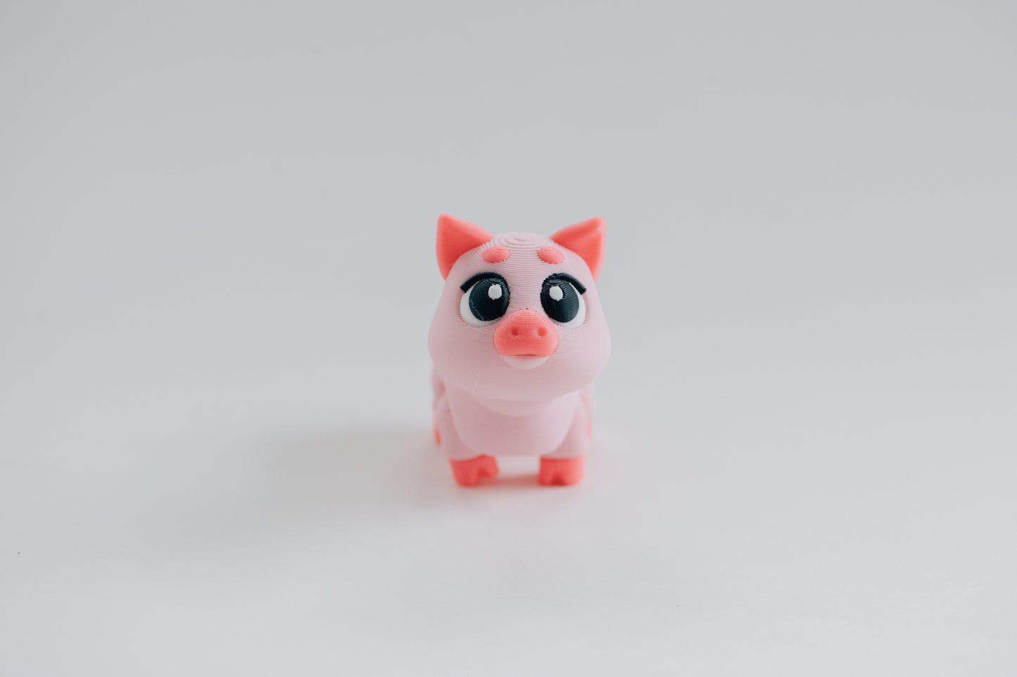 Pig Fidget Toy