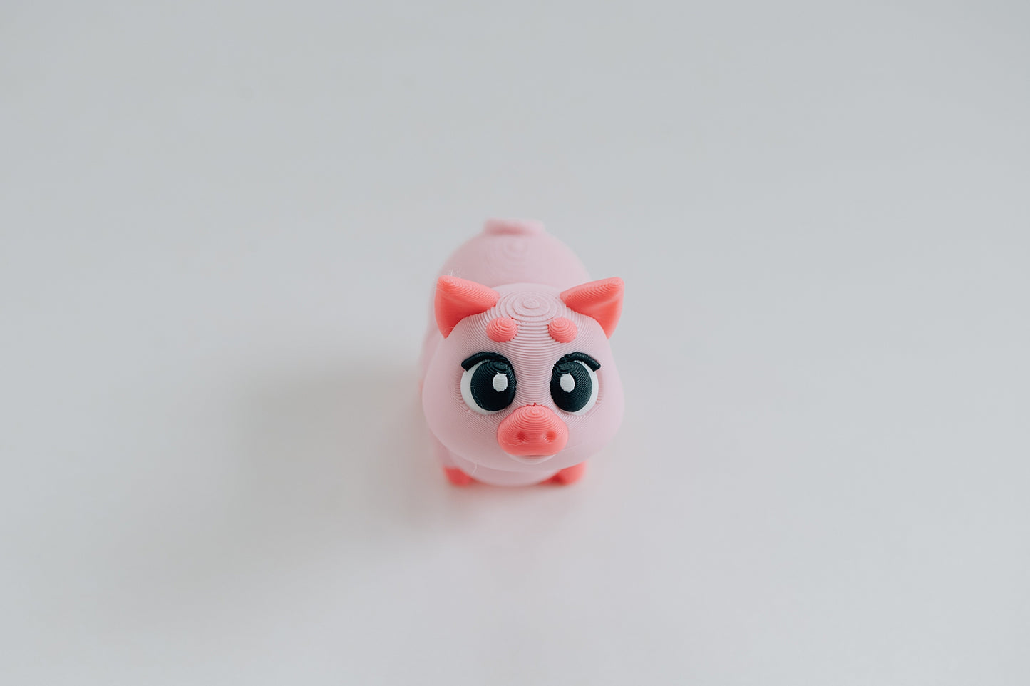 Pig Fidget Toy