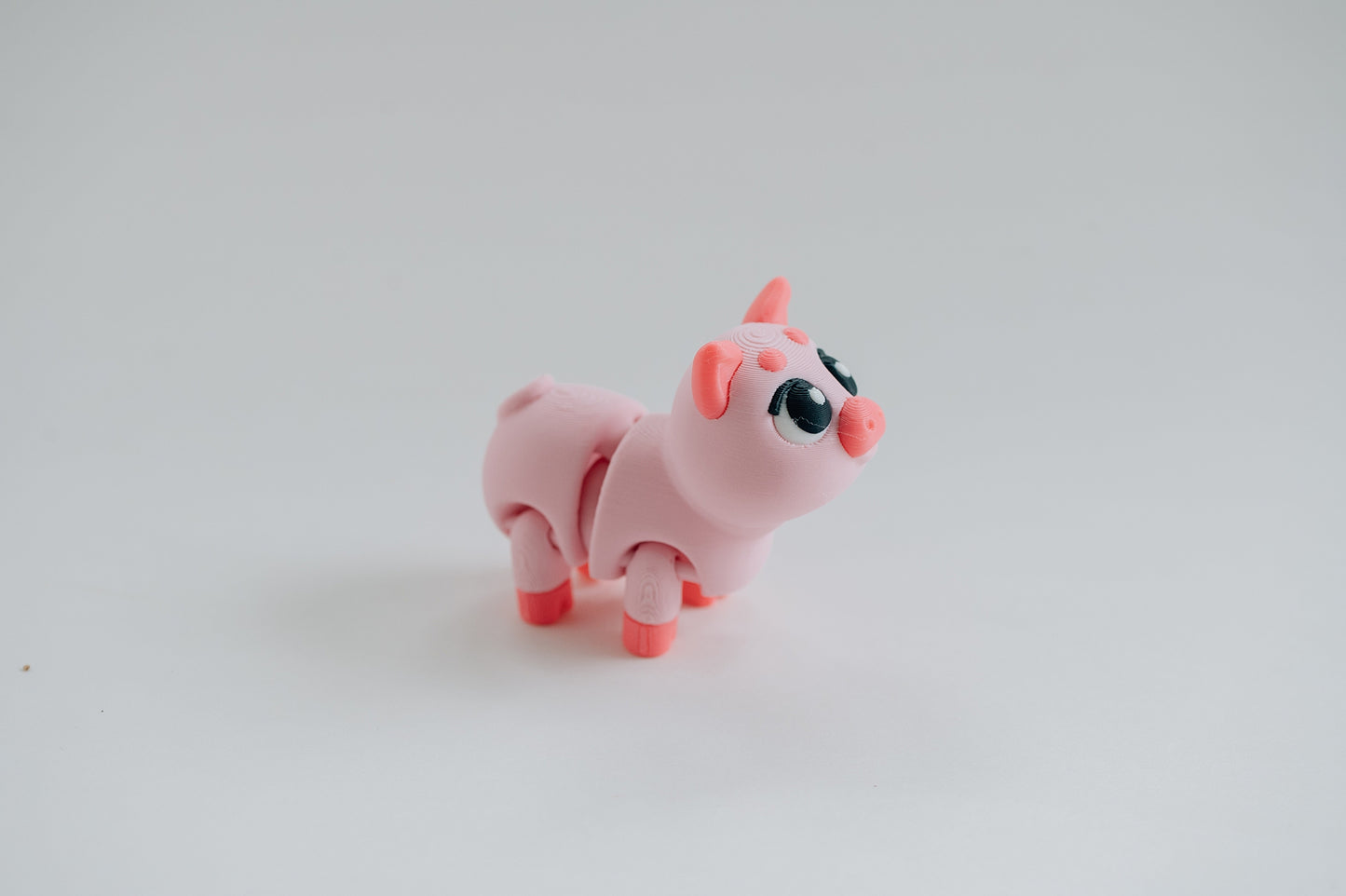Pig Fidget Toy