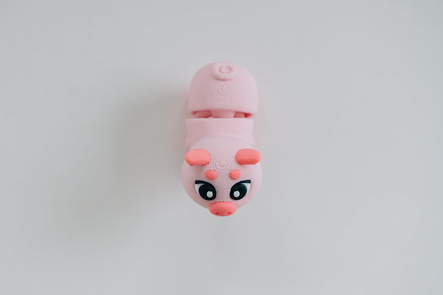 Pig Fidget Toy