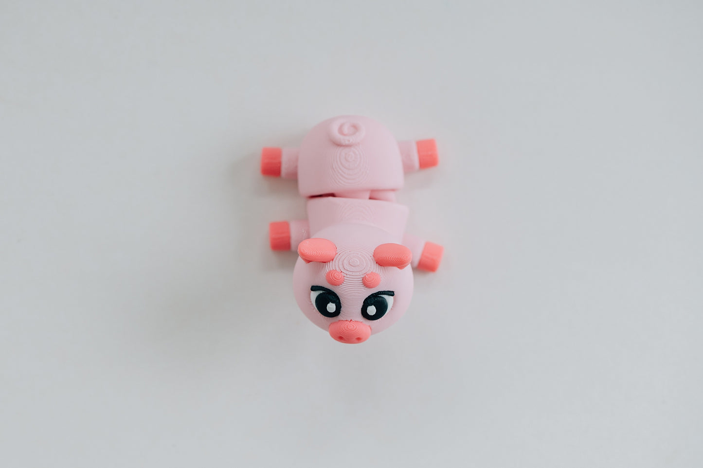 Pig Fidget Toy
