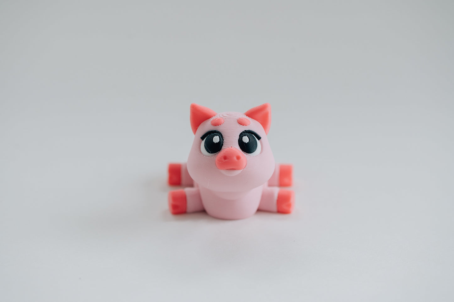 Pig Fidget Toy
