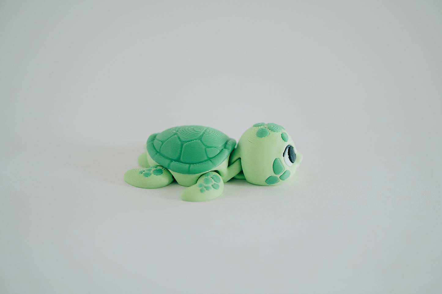 Sea Turtle Fidget Toy