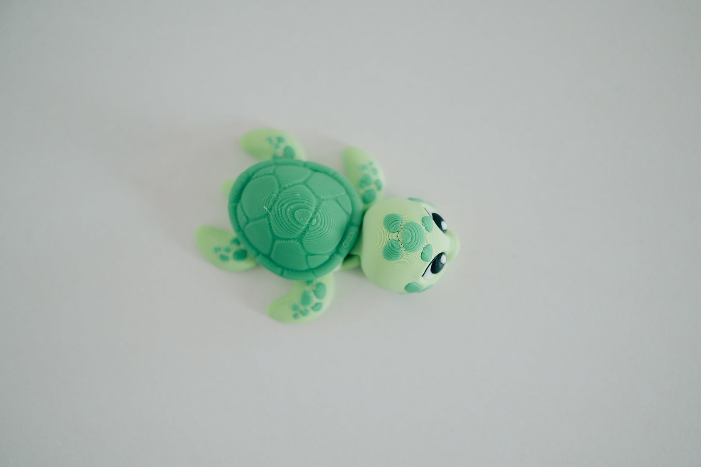 Sea Turtle Fidget Toy