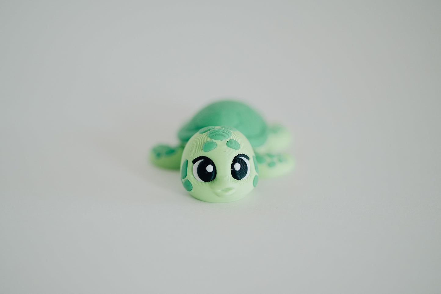 Sea Turtle Fidget Toy