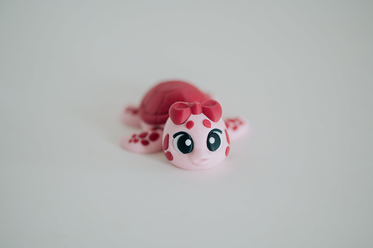Sea Turtle Fidget Toy