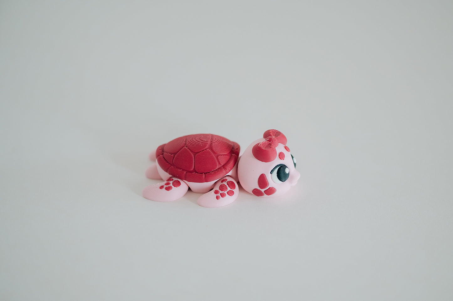 Sea Turtle Fidget Toy