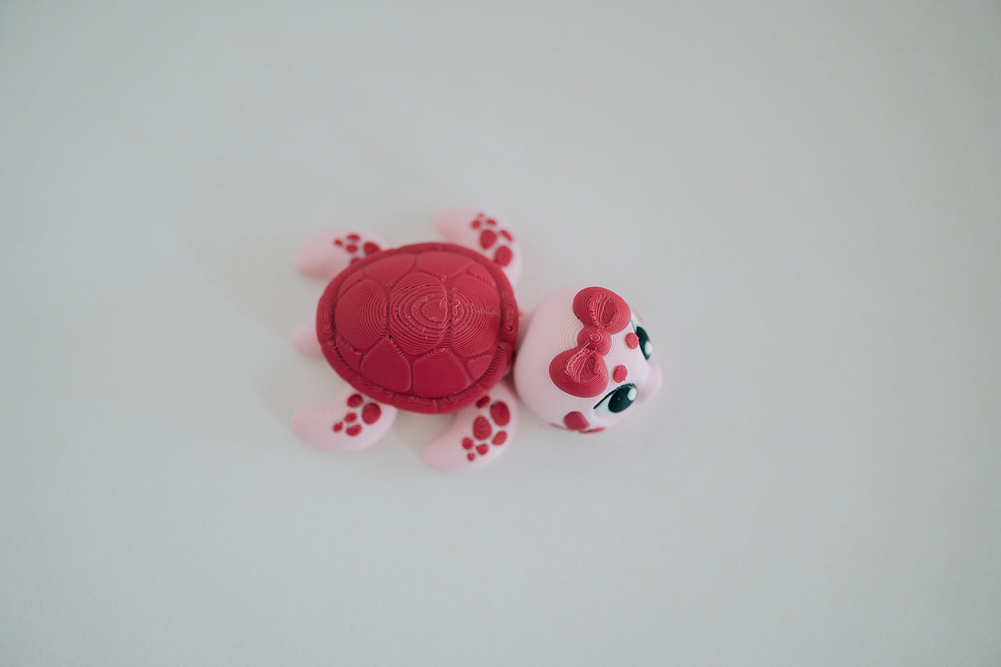 Sea Turtle Fidget Toy