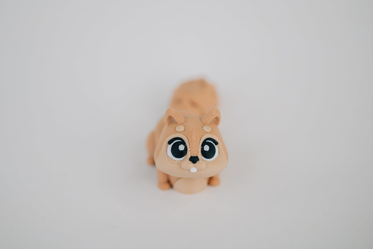 Squirrel Fidget Toy