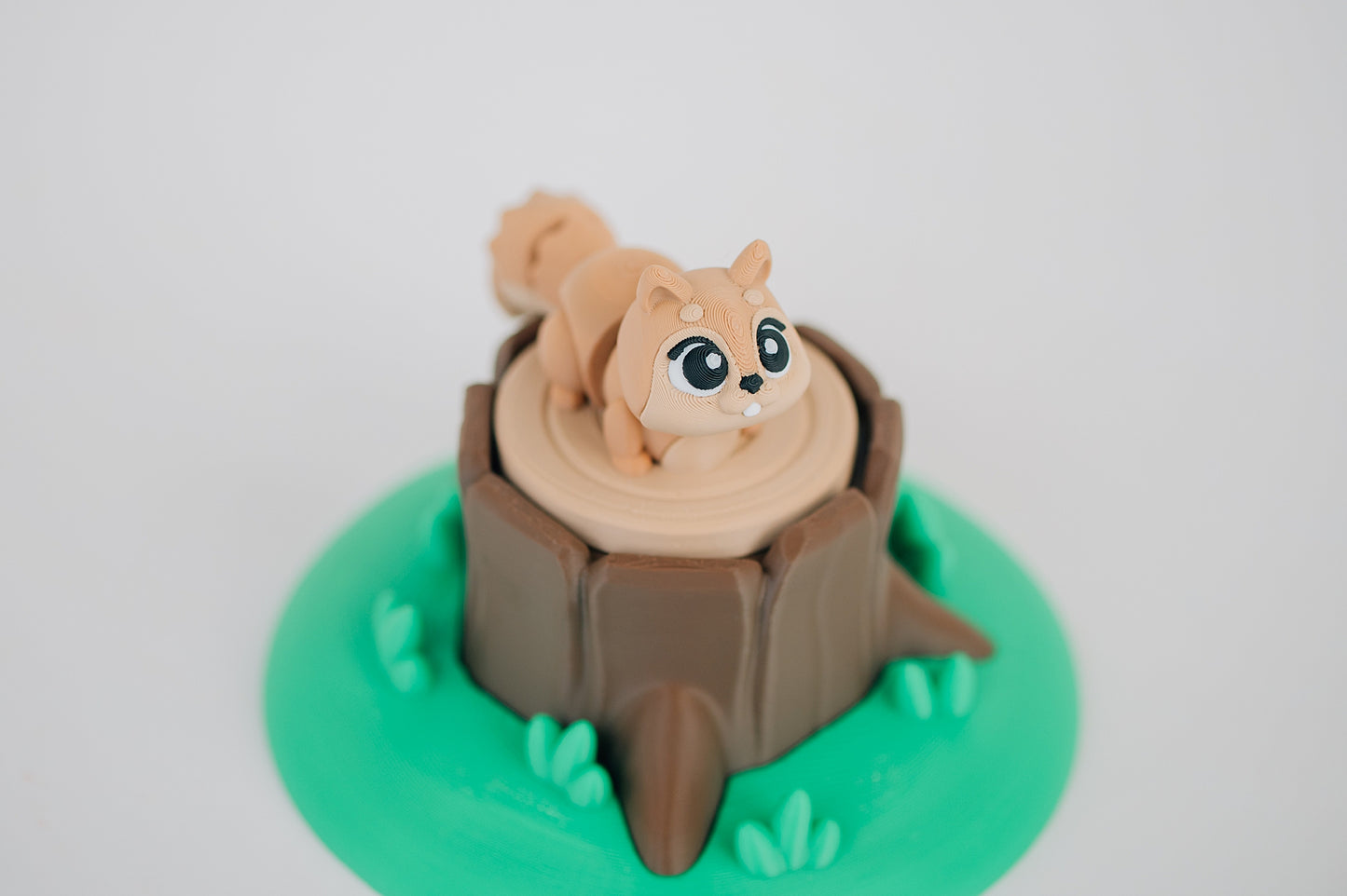 Squirrel Fidget Toy