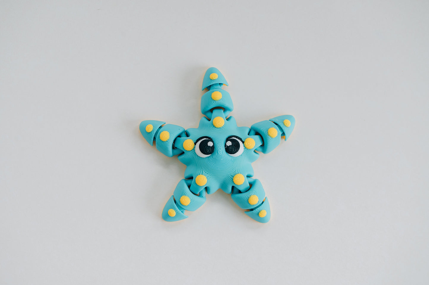 Starfish Fidget Toy