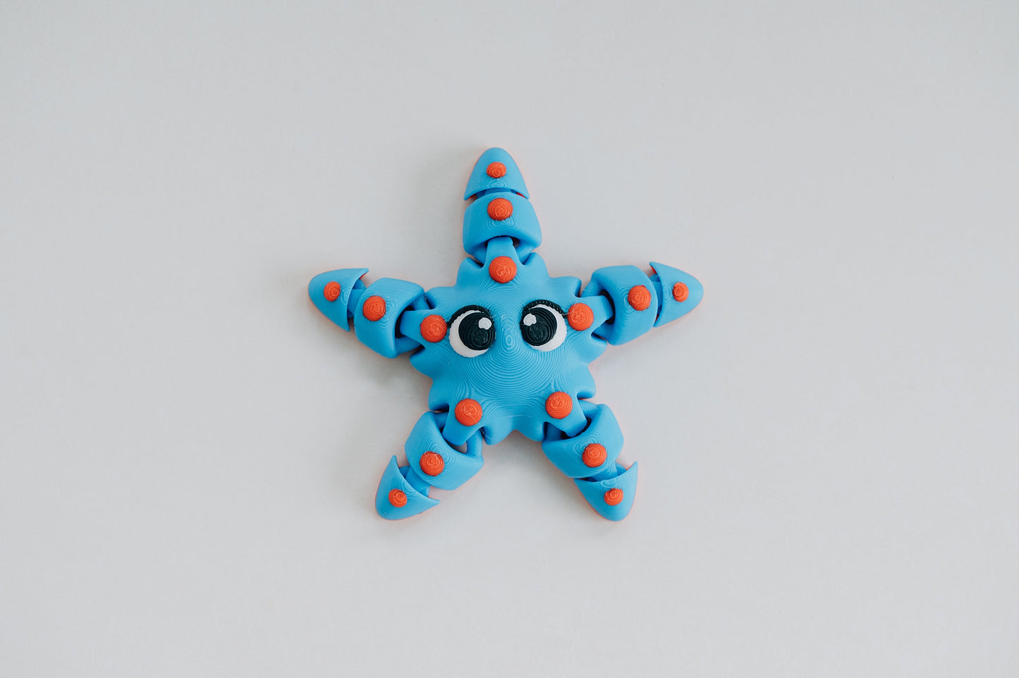 Starfish Fidget Toy