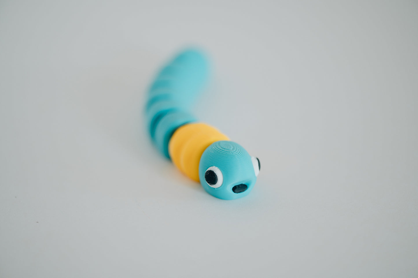 Worm Fidget Toy