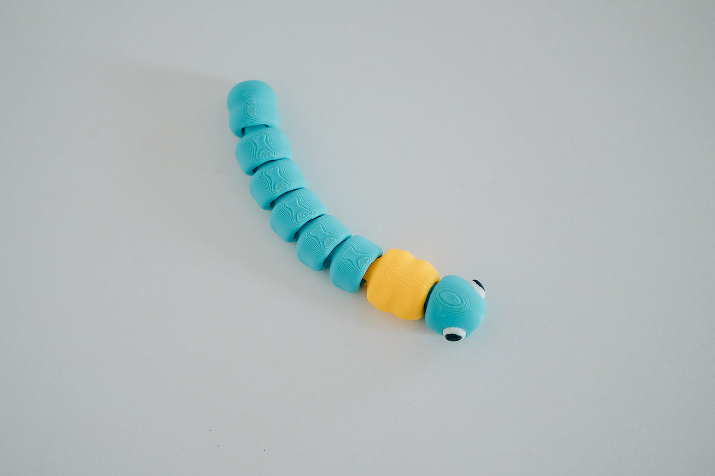 Worm Fidget Toy