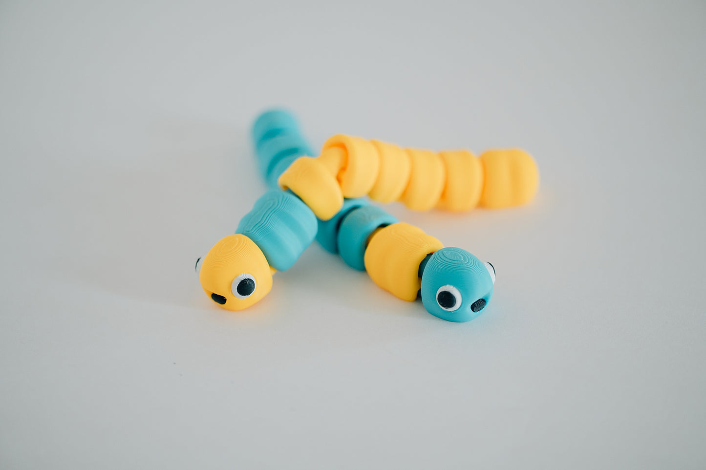 Worm Fidget Toy