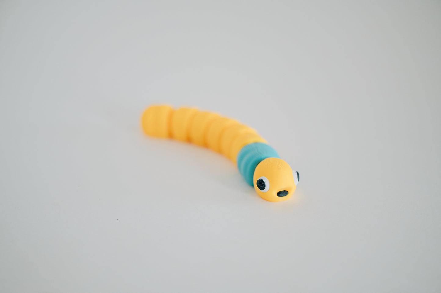 Worm Fidget Toy