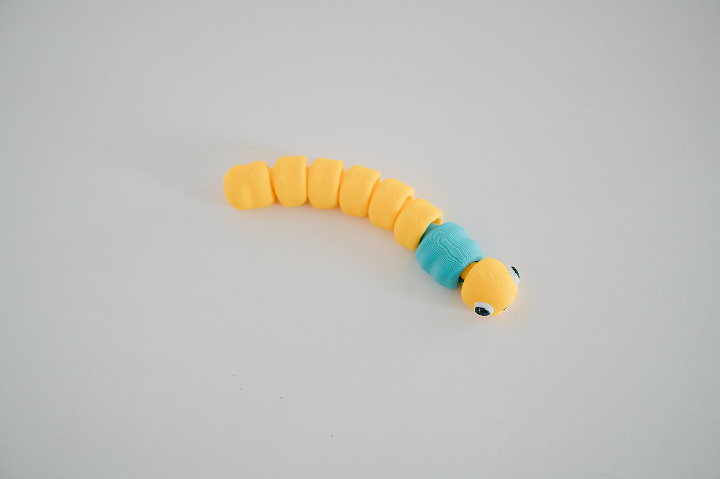 Worm Fidget Toy