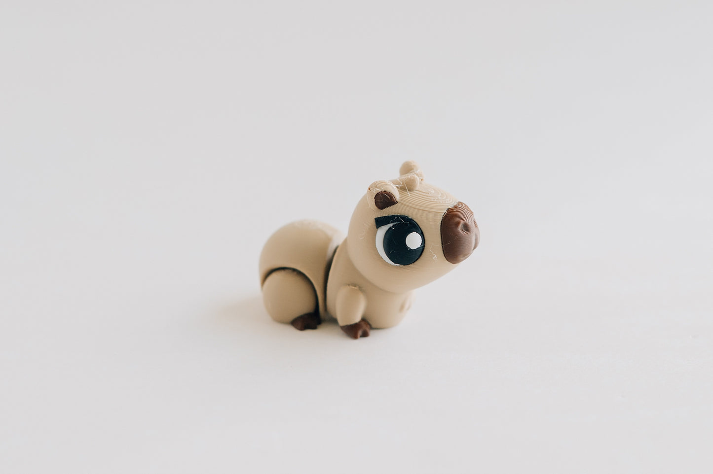 Capybara Fidget Toy