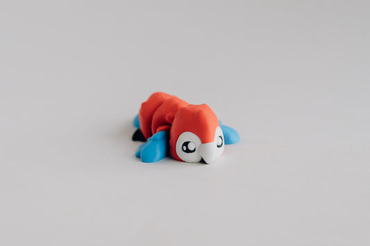 Macaw Fidget Toy