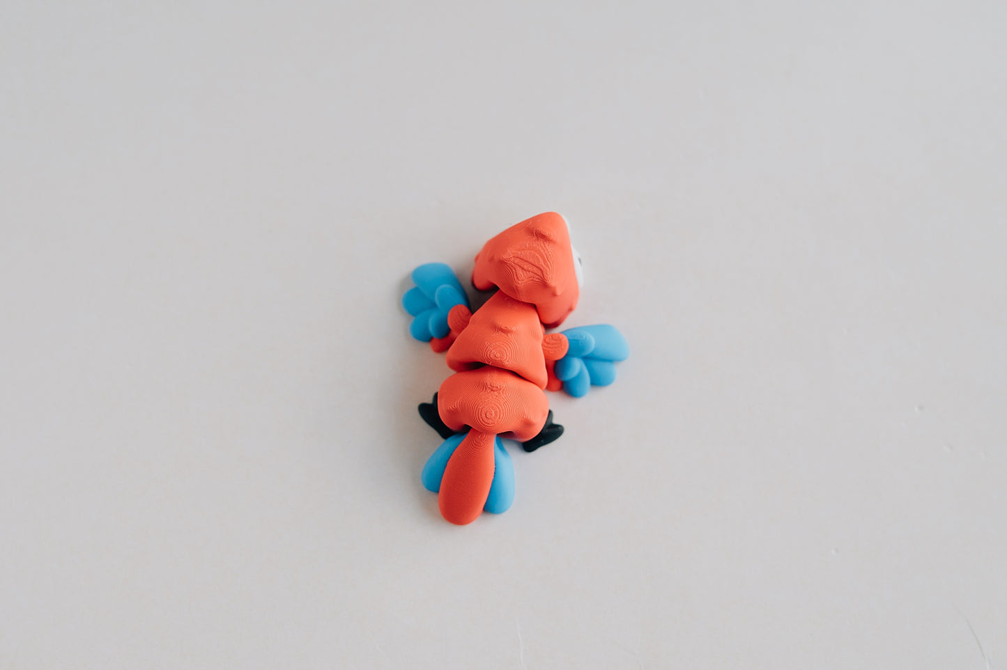 Macaw Fidget Toy