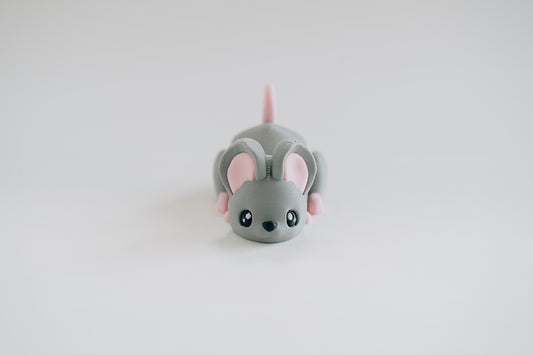 Mouse Fidget Toy
