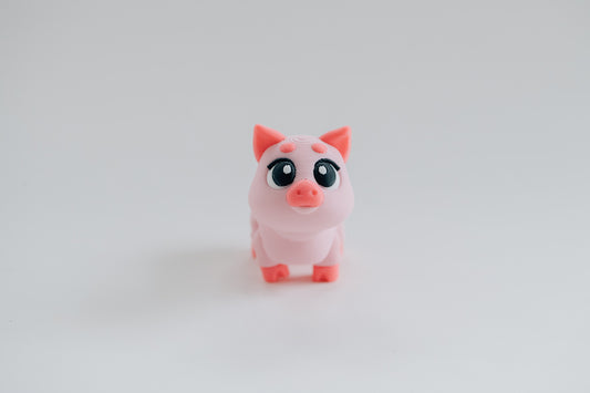 Pig Fidget Toy