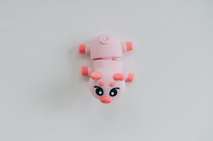 Pig Fidget Toy