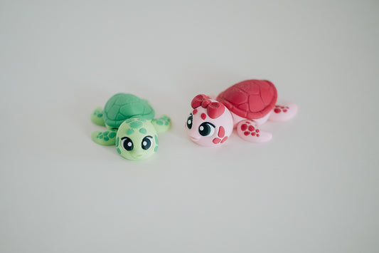 Sea Turtle Fidget Toy