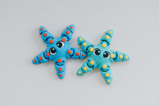 Starfish Fidget Toy