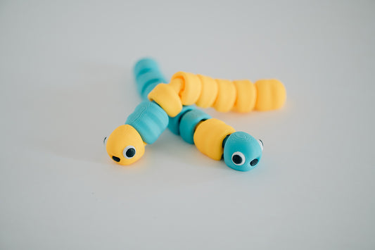 Worm Fidget Toy