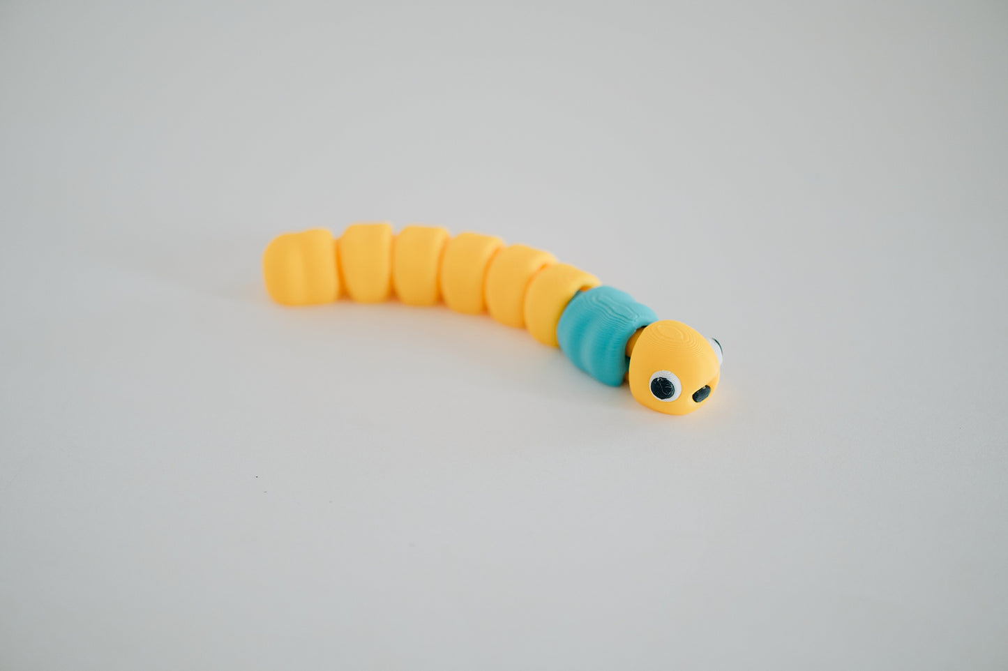 Worm Fidget Toy